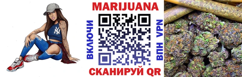 omg вход  Кашин  Бошки Шишки индика  купить наркоту 